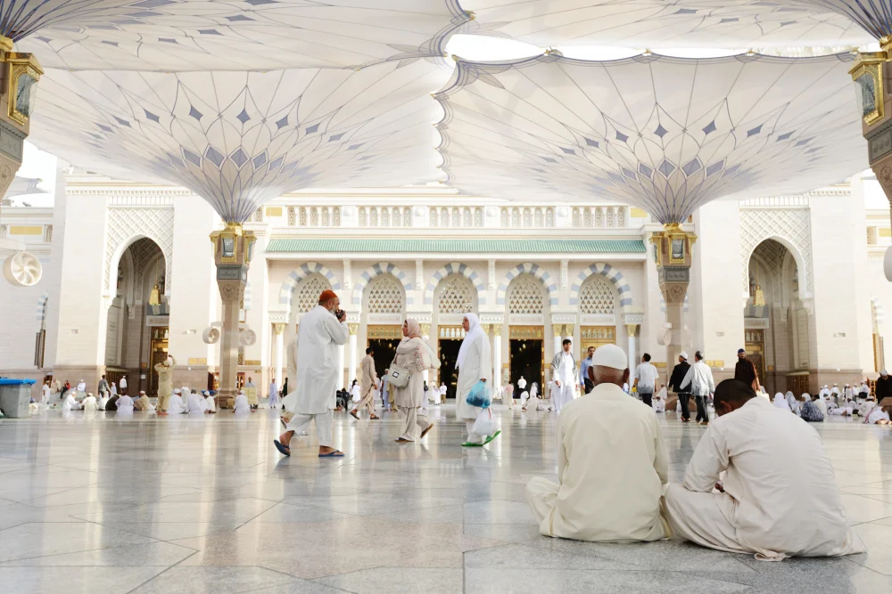 About Al-Saalim Tourism